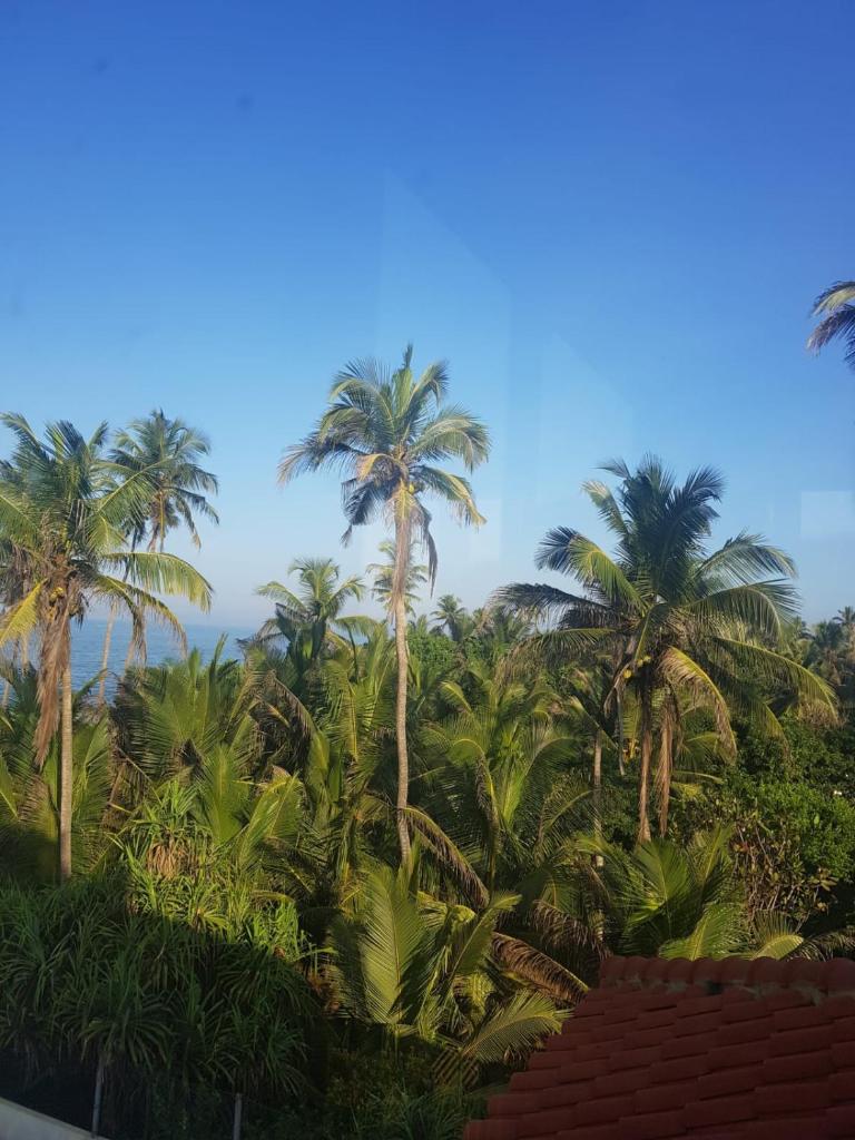 Villa by the Sea, Negombo-Katunayake photo 2
