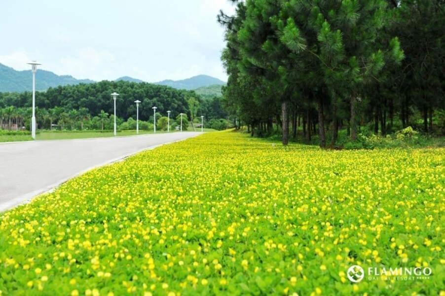 Flamingo Dailai - HQ villa