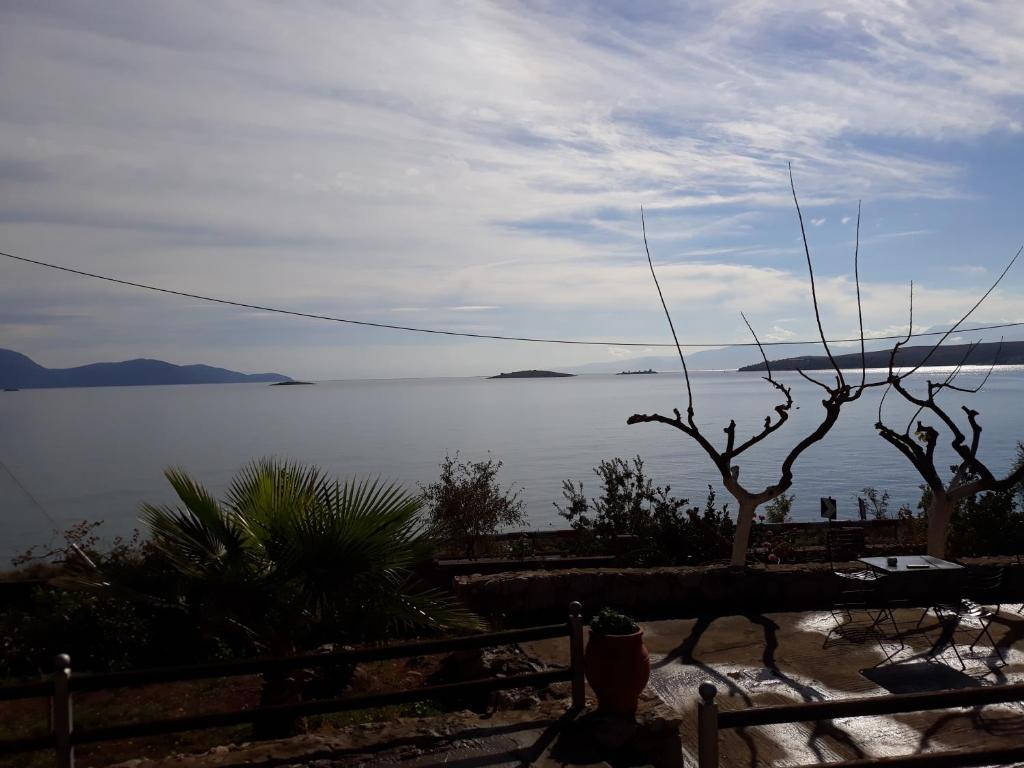 Niriides photo 3
