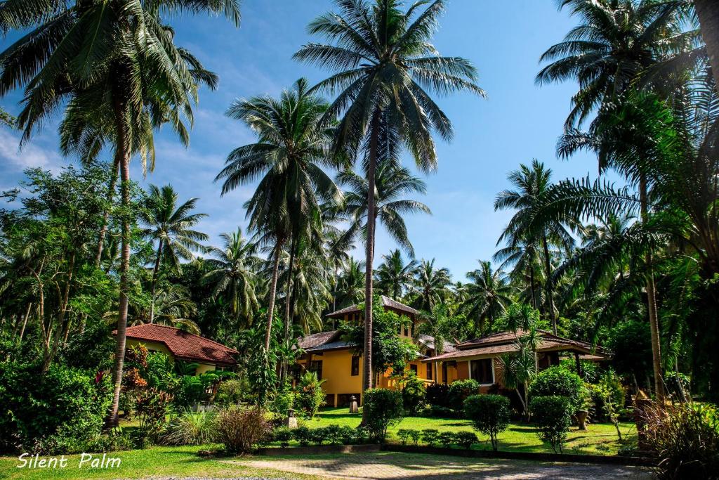 Silent Palm Samui photo 1