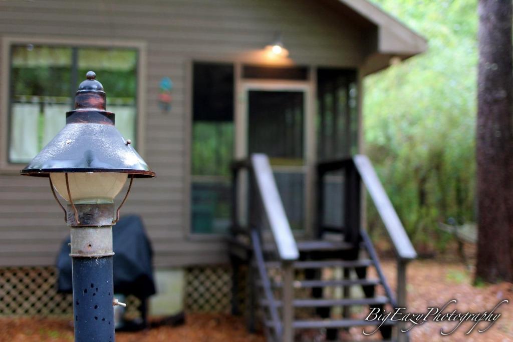 The Meadow Cabin photo 1