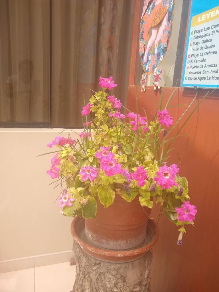 Hospedaje Golden Inn photo 3