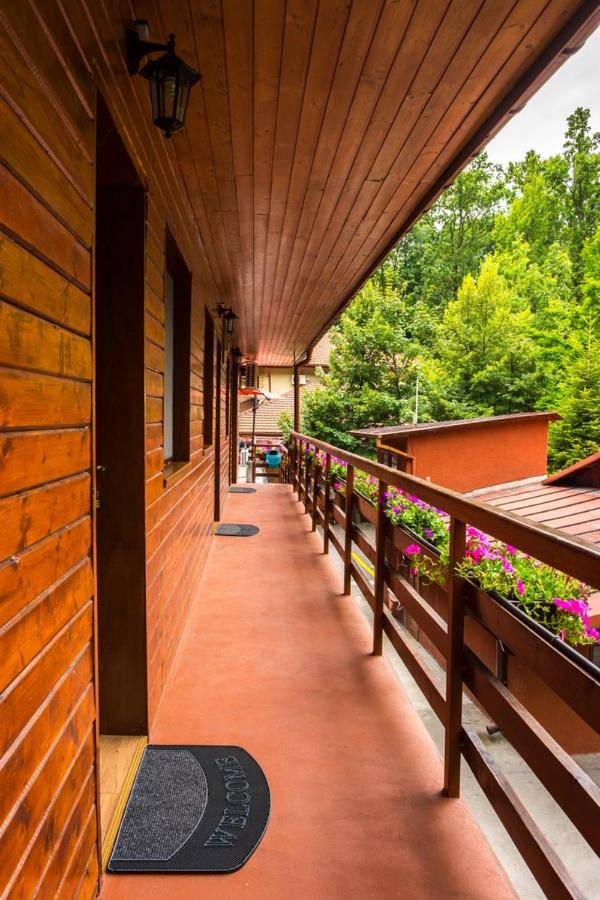 Трехместный (Трехместный номер), Pensiunea Casa Verde Bucuresti