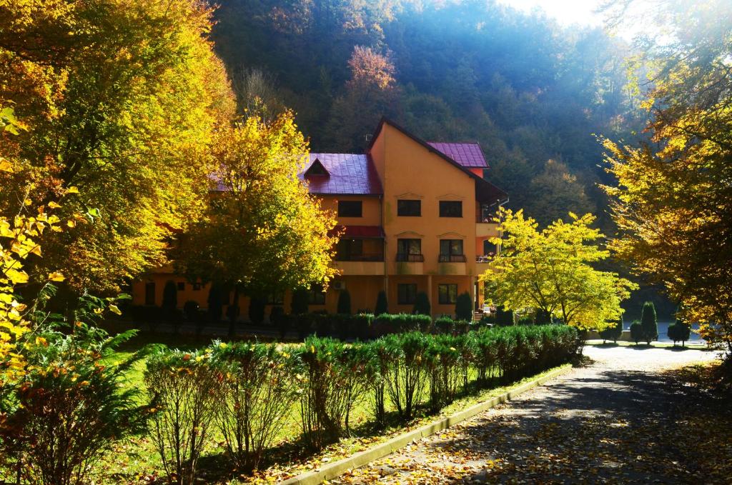 Pensiunea Magura photo 4