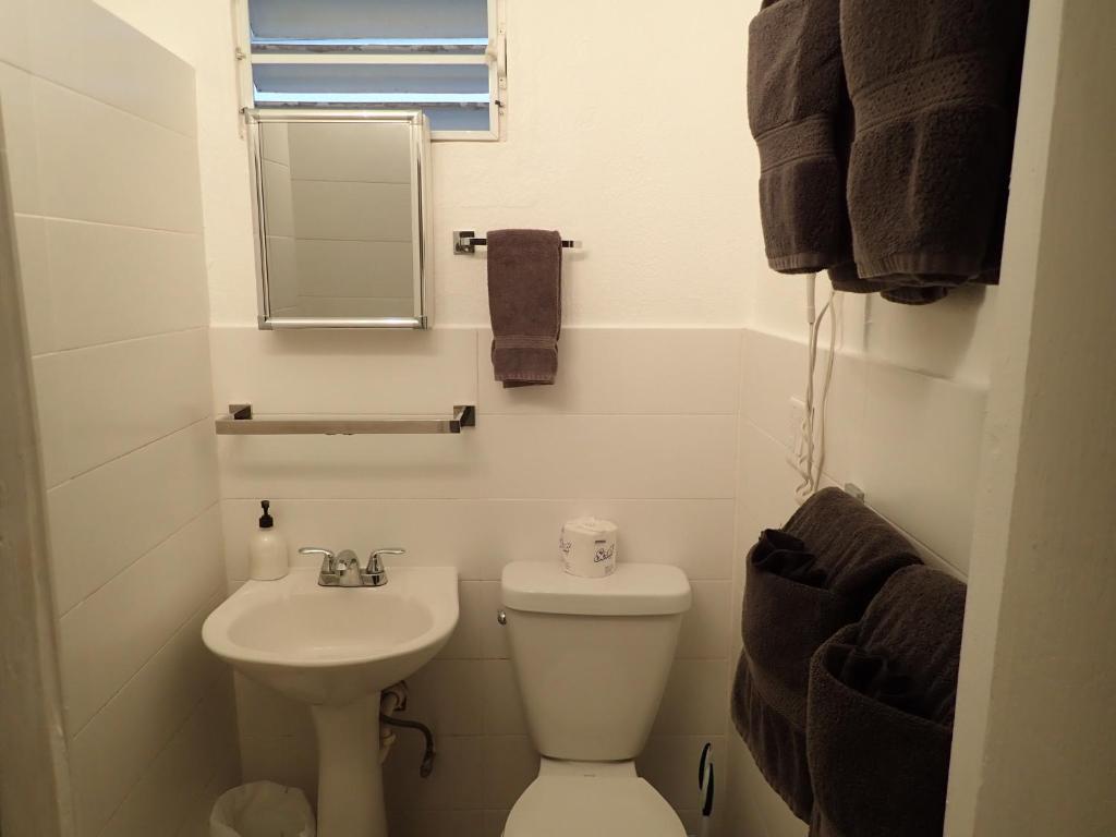 The Vieques Guesthouse photo 3
