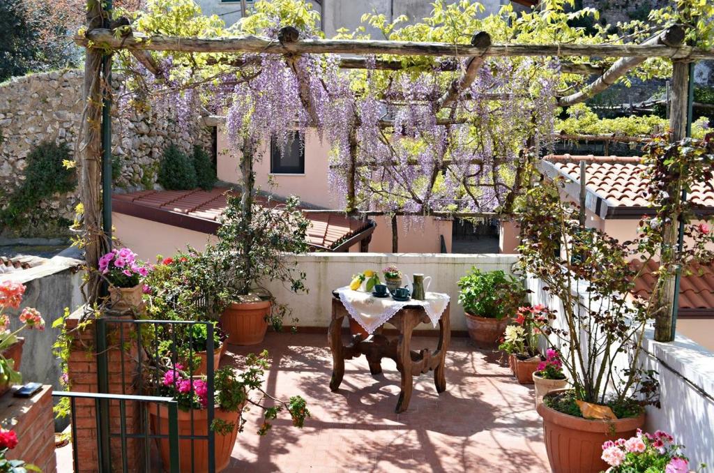 Casa Cecilia photo 3