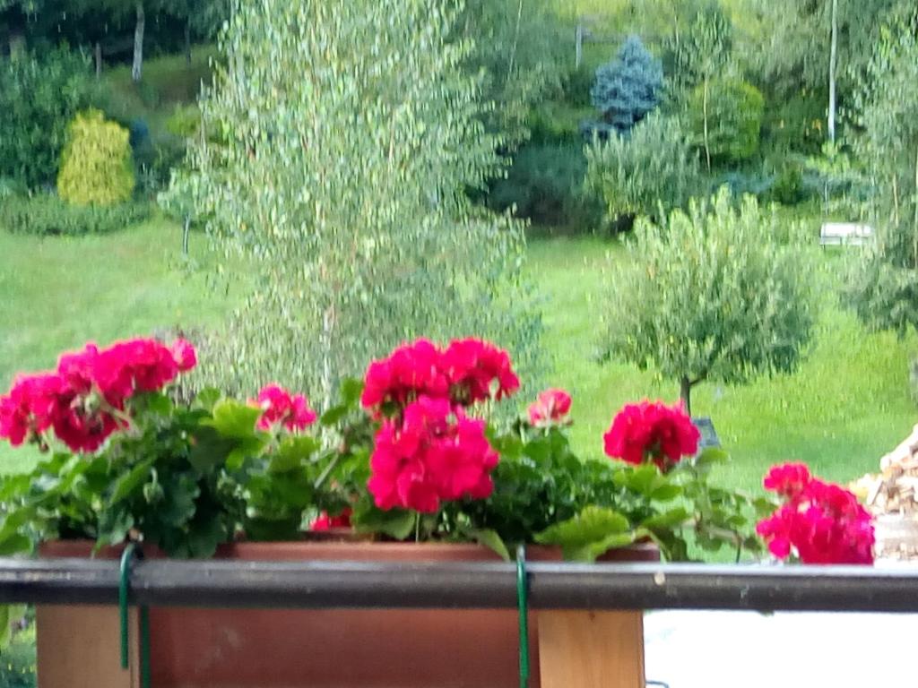 Villa Angela primo piano appartamento photo 4