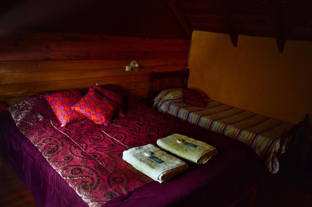 Cabaña Ucihuen photo 3