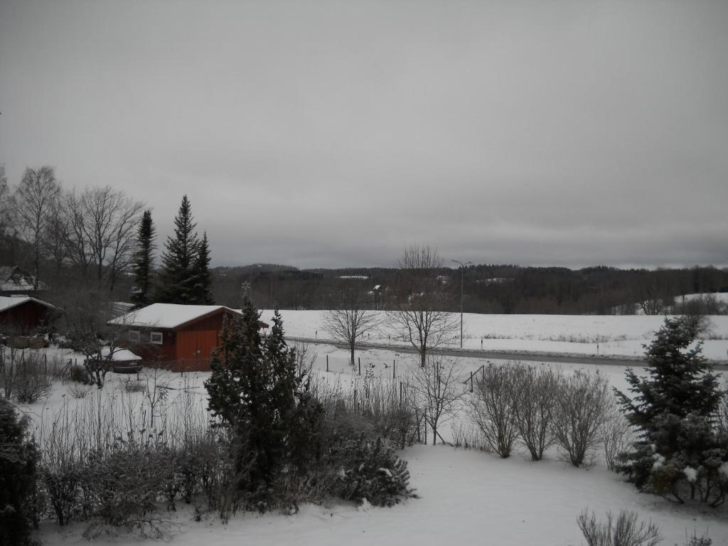 Saaremäe photo 4