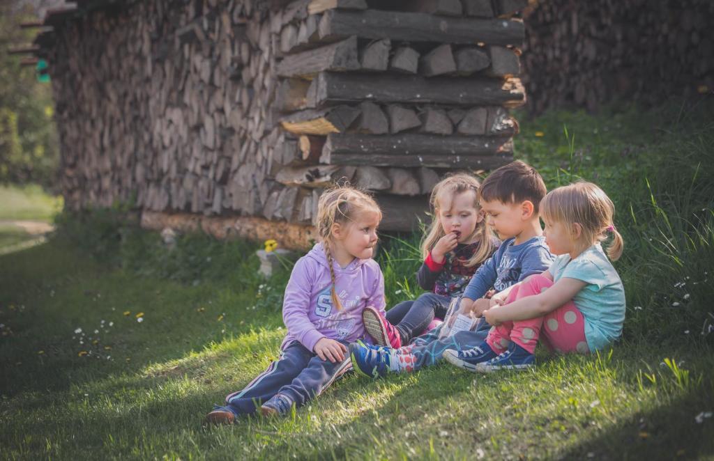 Farm Soržev mlin photo 3