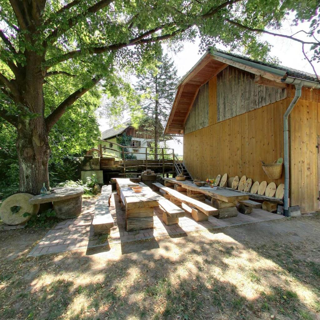 Farm Soržev mlin photo 1