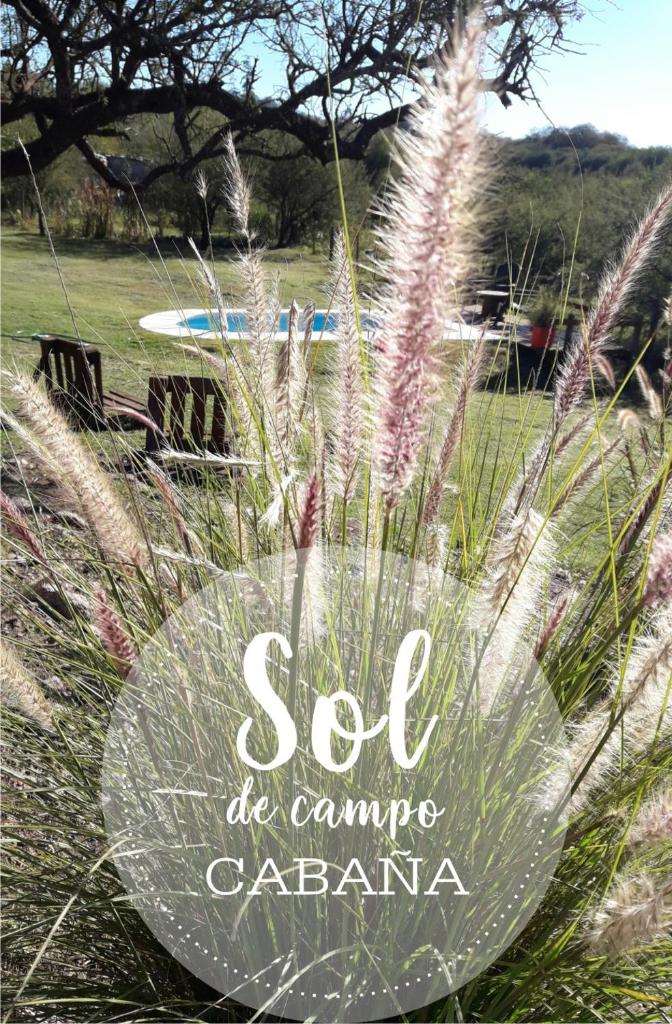 Cabaña Sol de Campo photo 3