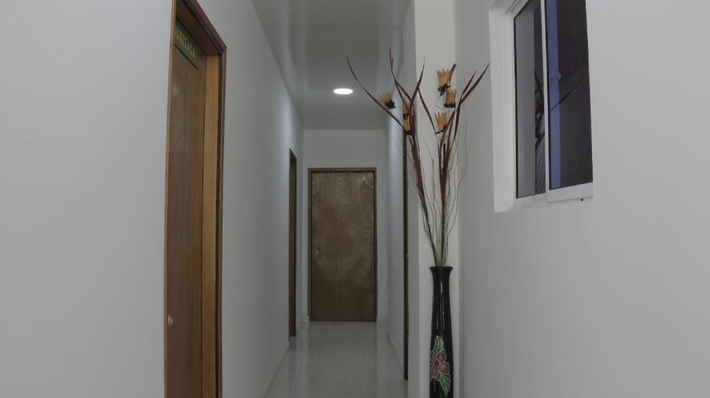 Puerto Caribe Hostal photo 2