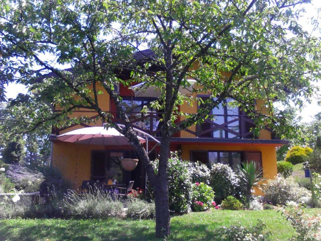 Apartment Villa Ema photo 3