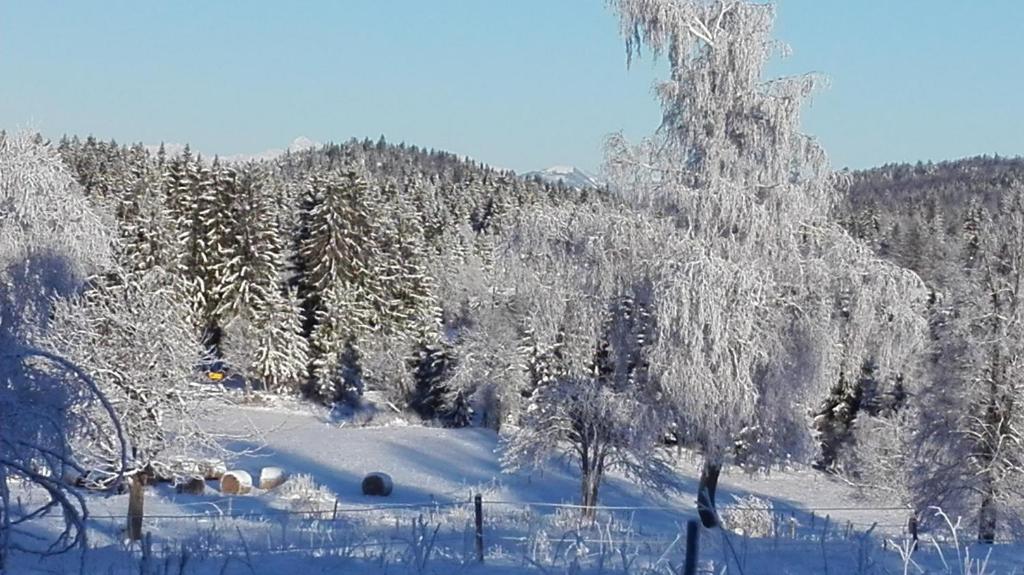 Apartmaji Bizjak photo 4