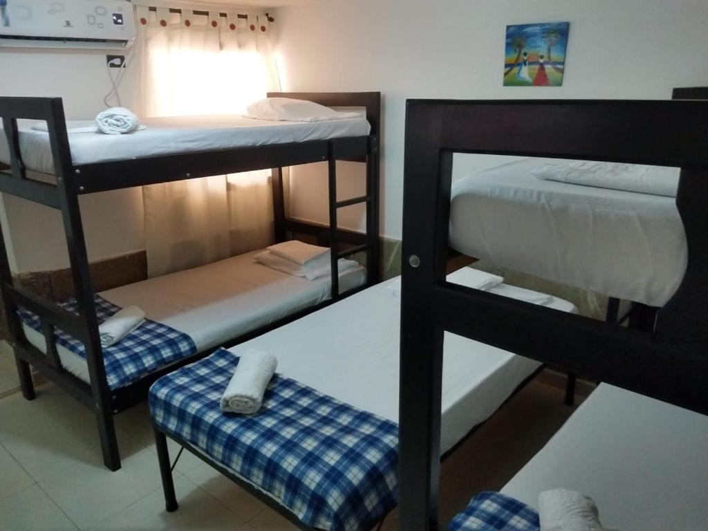 cactus city hostel confort photo 4