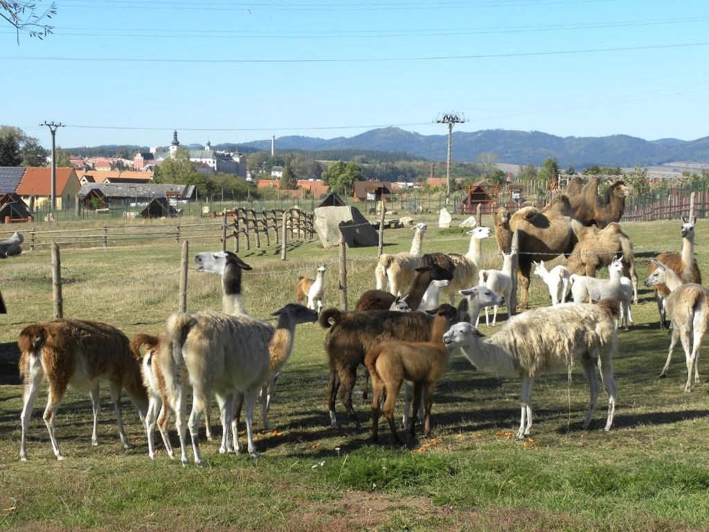 Farma Wenet photo 2