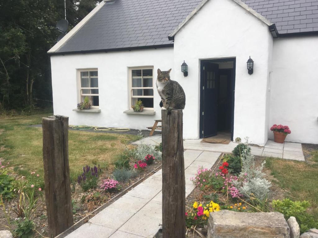 The Wild Farm Cottage photo 1