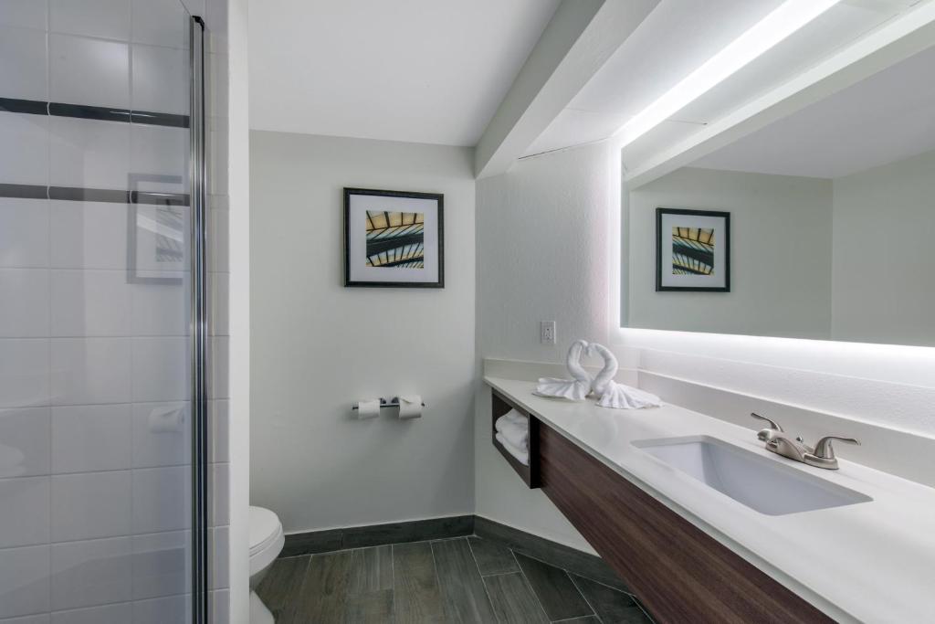 Holiday Inn Melbourne-Viera Conference Ctr, an IHG Hotel photo 4