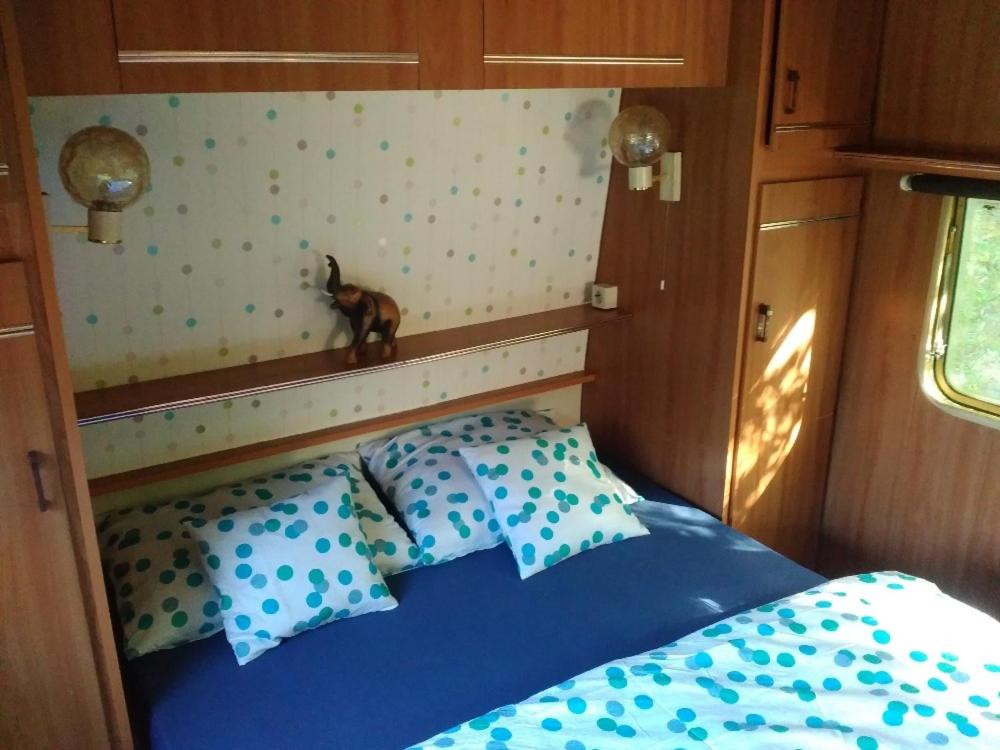 Sykovec Karavan Sýkorka photo 4