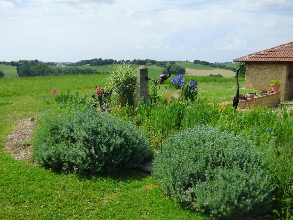 Chambre d'hôtes insolite dans un pigeonnier à 5 minutes de Marciac Gers photo 4