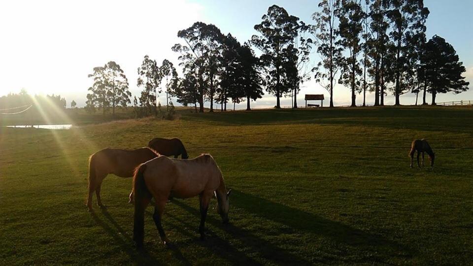 Pousada Fazenda A CASA DO MORRO photo 4
