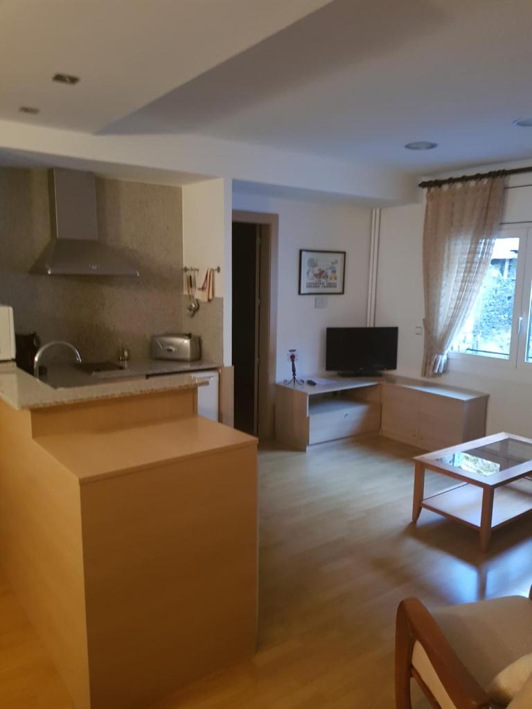 Apartaments Turistics Pirineu photo 3