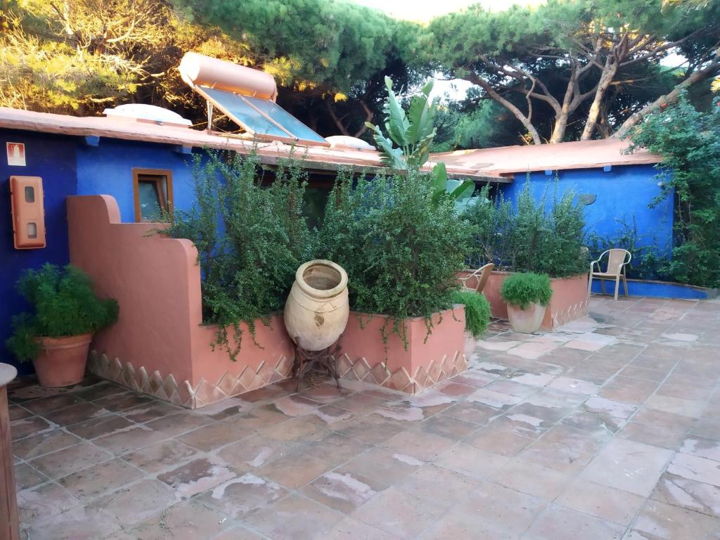 Beach Hotel Dos Mares photo 3