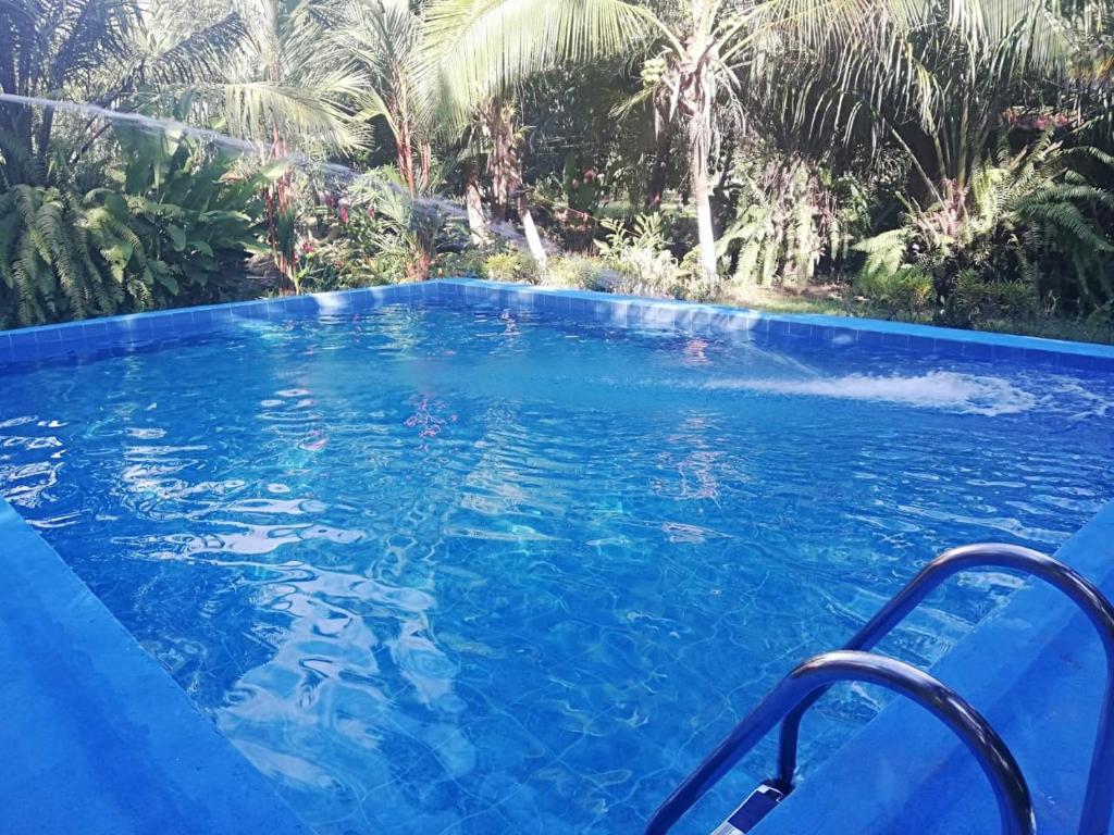Villas Maria Luisa photo 4