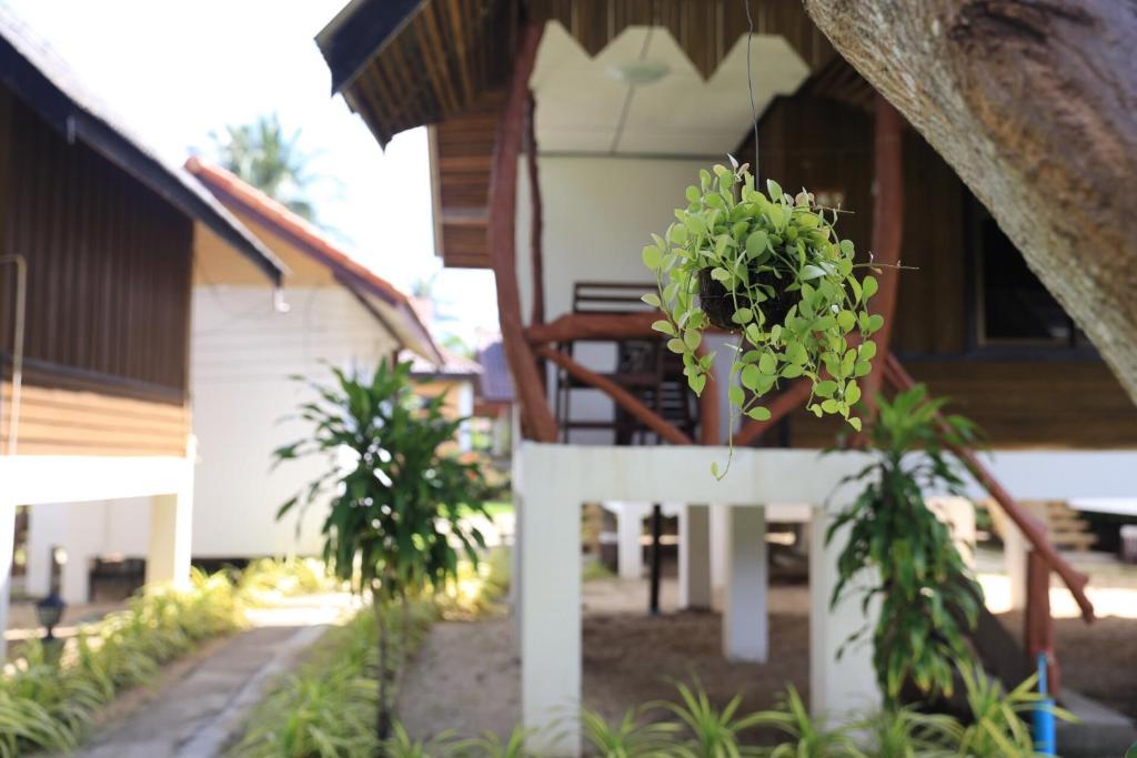 Shangrilah Bungalow Room Type - Standard Double Room