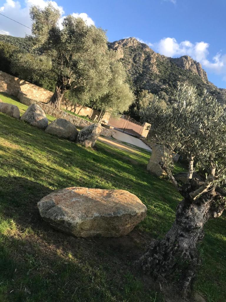Villa CAlisti photo 4