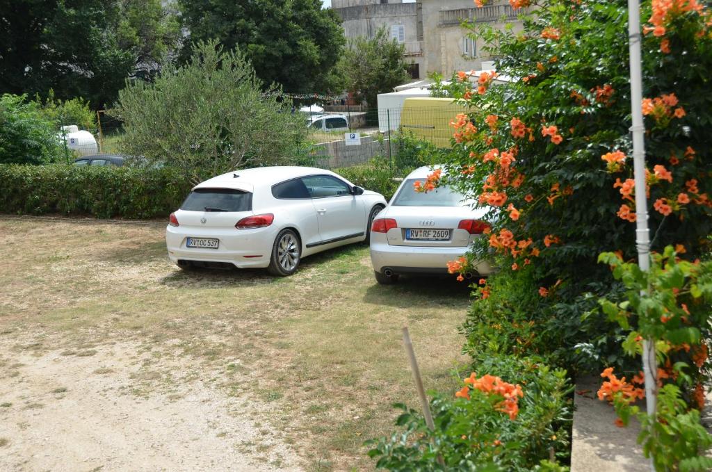 Apartmani Admiral photo 2