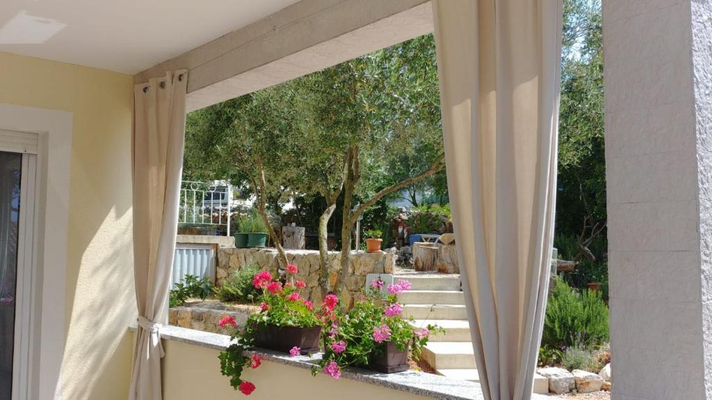 Apartments Olea photo 4
