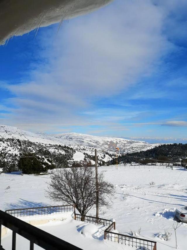 Setta Alonia photo 4