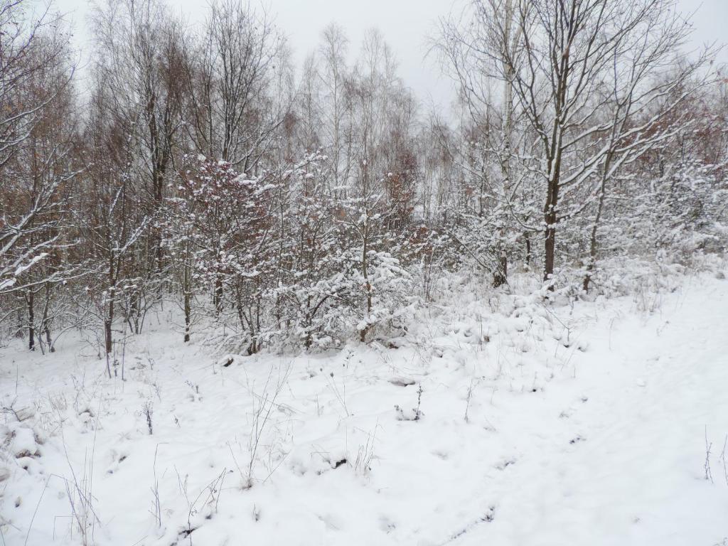 Pod Miotełką photo 4