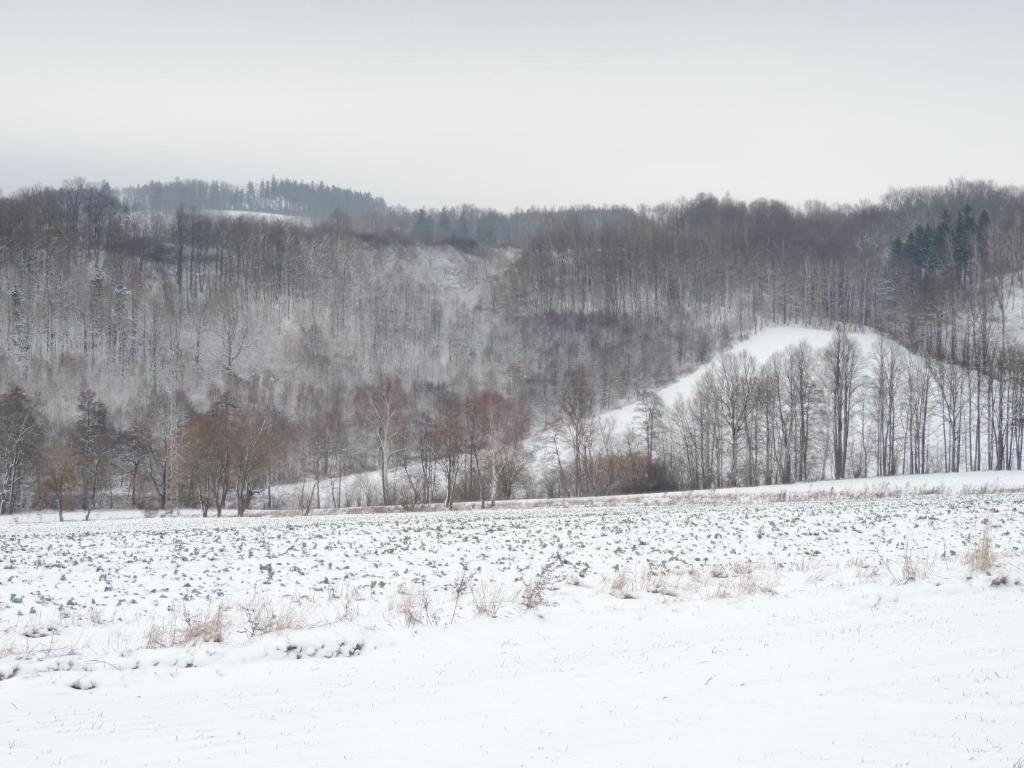 Pod Miotełką photo 2