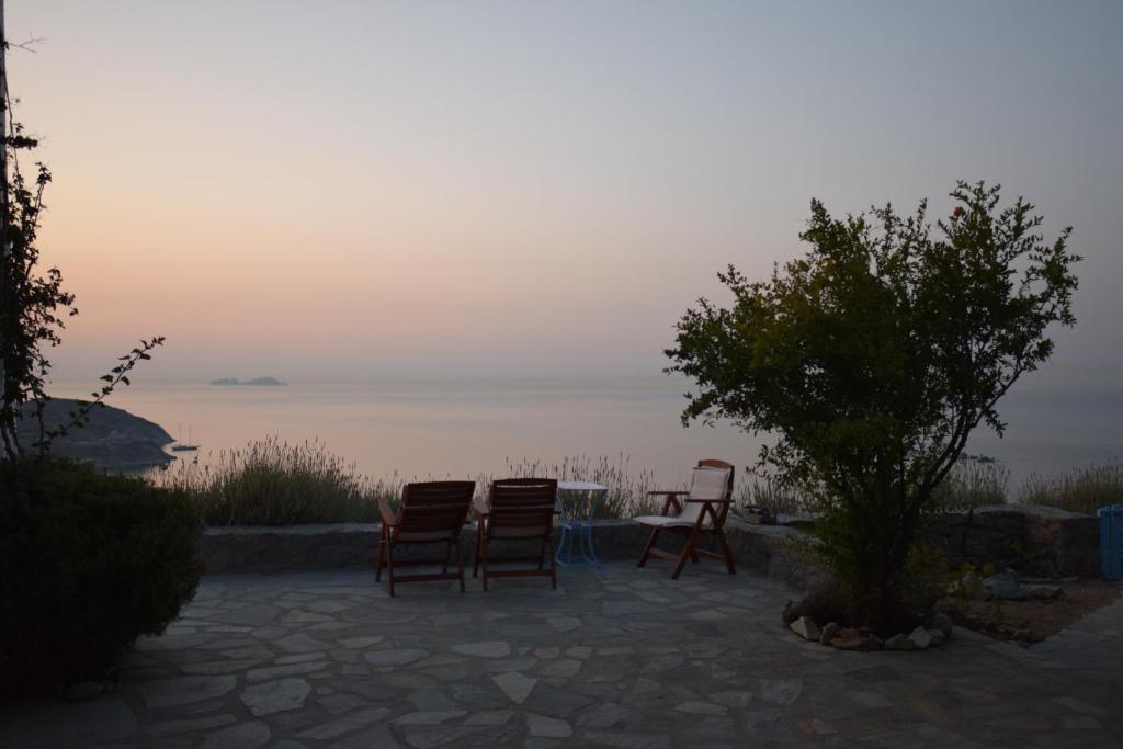 Andromeda Mykonos Villas & Suites photo 4