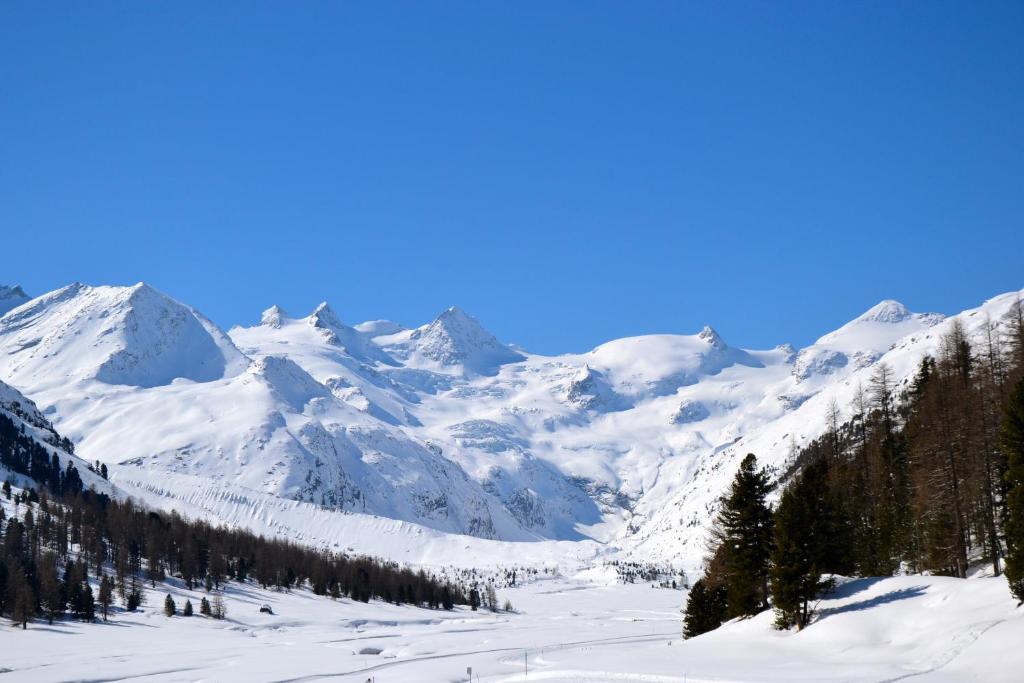 Hotel Roseg-Gletscher photo 4