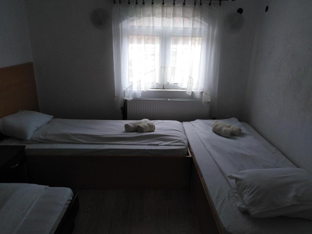 Четырехместный (Классический четырехместный номер), hostel Sunce