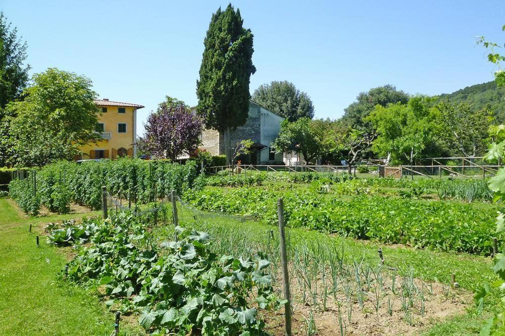 Fattoria I Tribbi photo 1