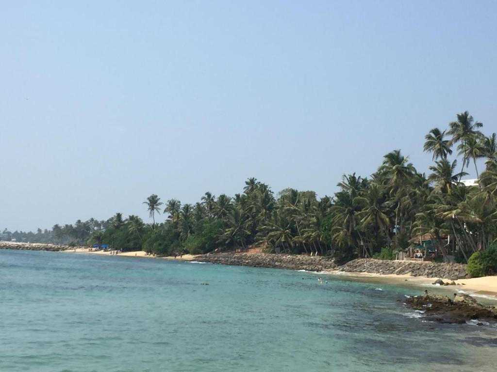 Surf reef guest house photo 2