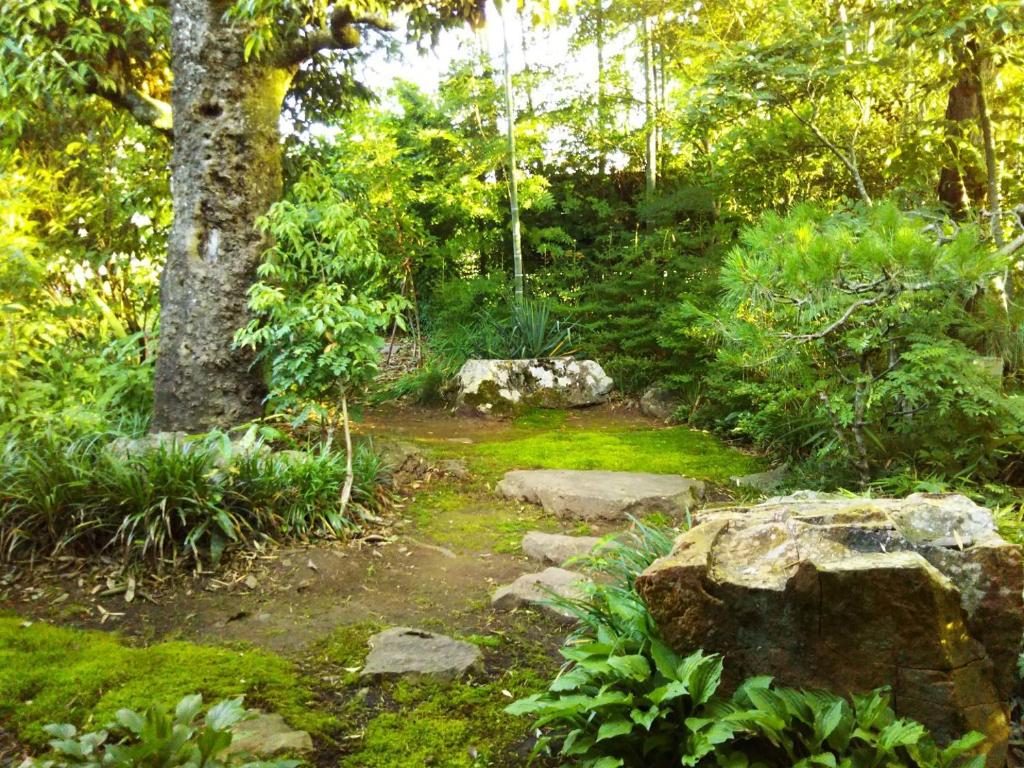 Kamitakai-gun - House / Vacation STAY 12362