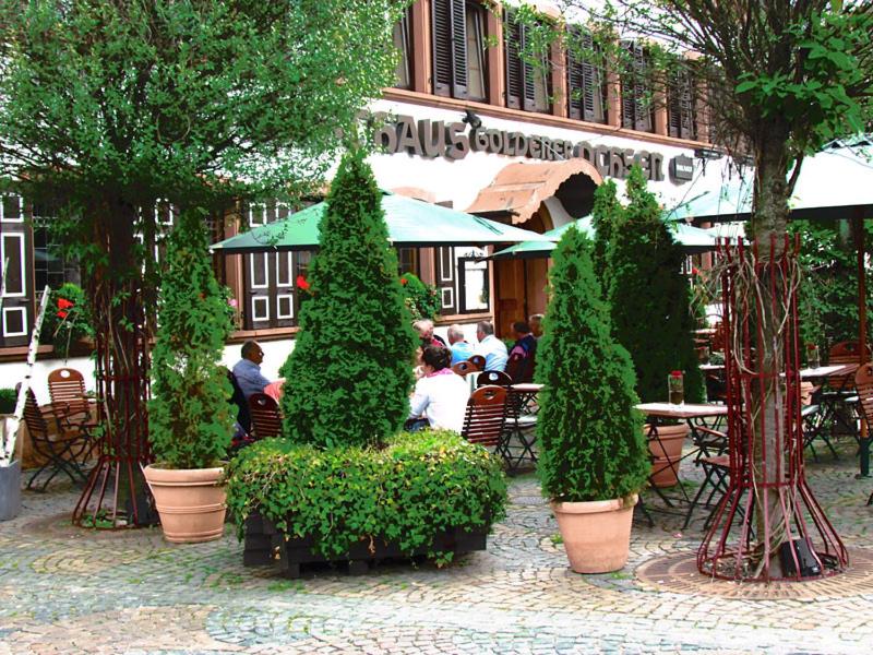 Hotel zum Goldenen Ochsen photo 1