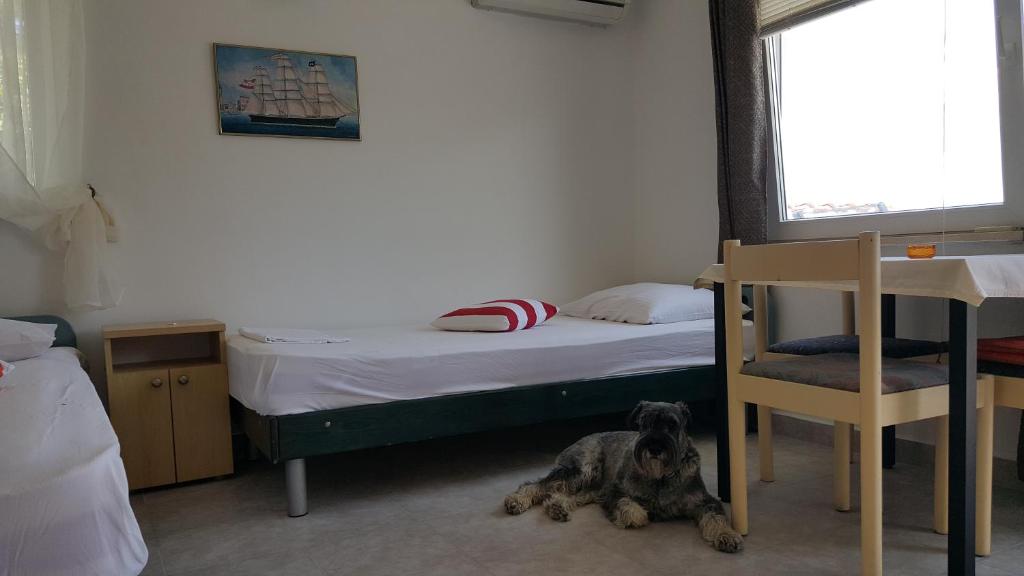 Apartment Viktor photo 3