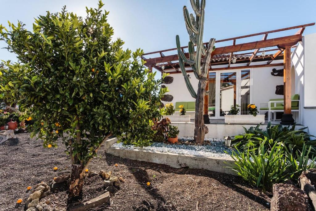 Bungalow Los Laureles photo 3