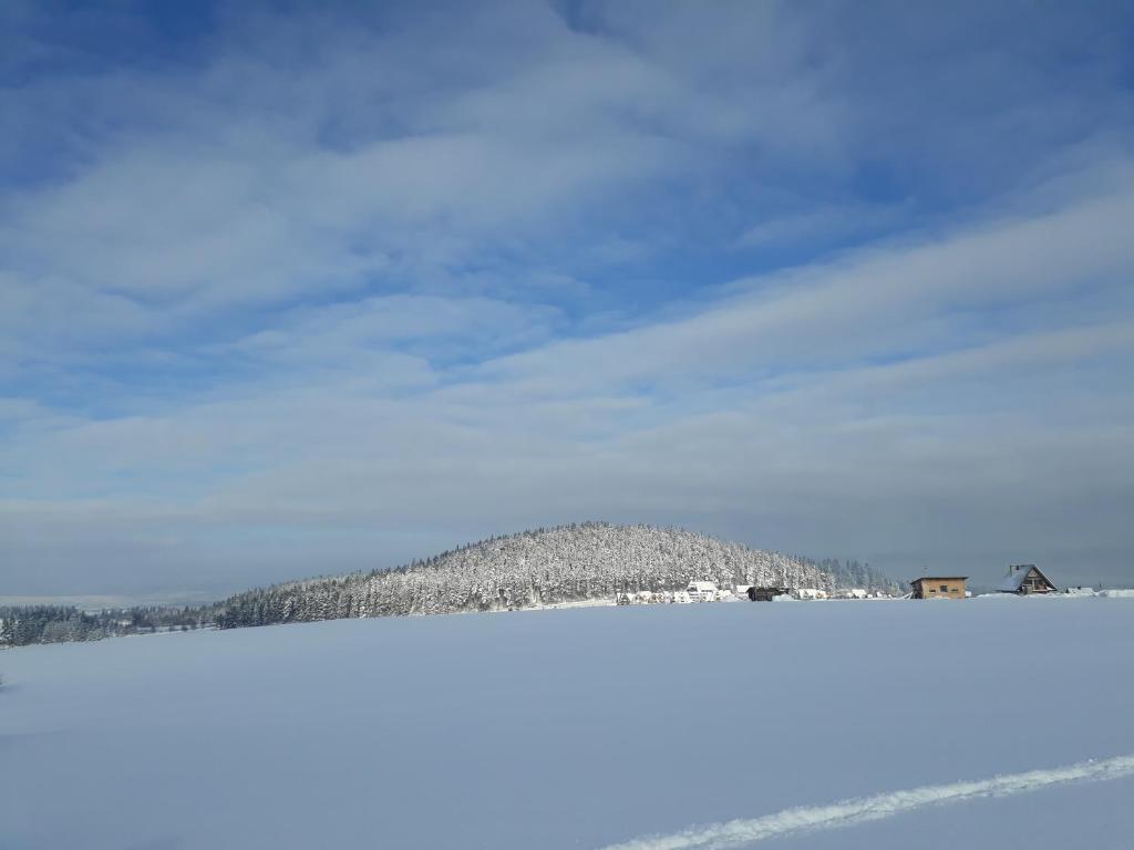 Domki z Dusza photo 3