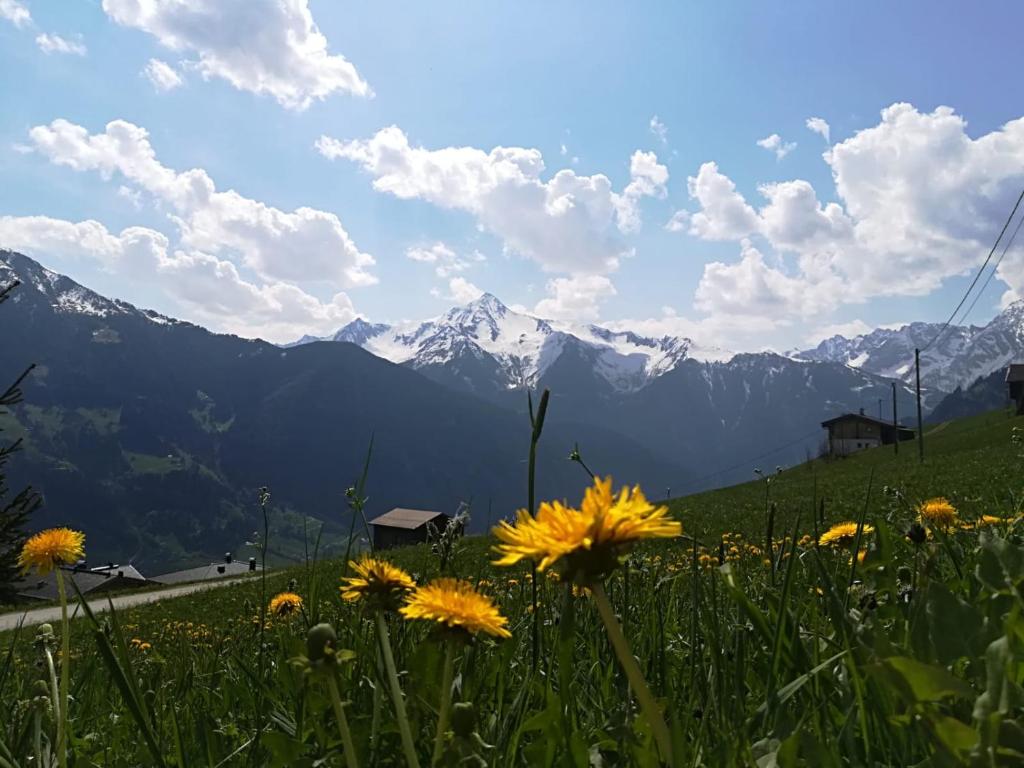 Alpenchalet Zillertal photo 3