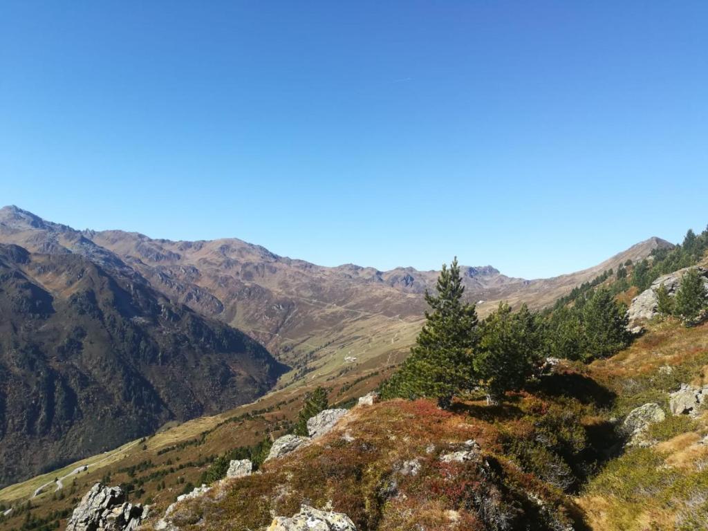 Alpenchalet Zillertal photo 2