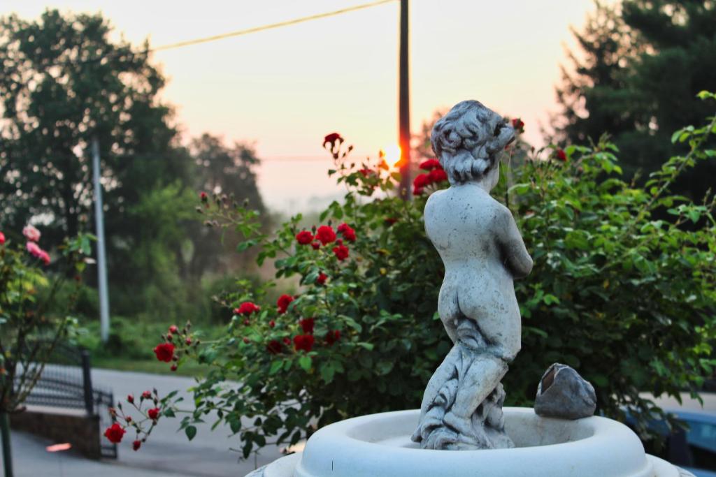Apartman Dimač photo 1