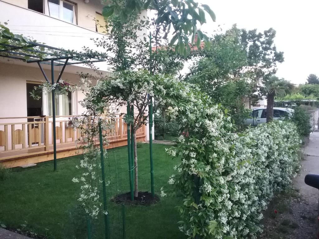 Apartment Mirjana photo 4